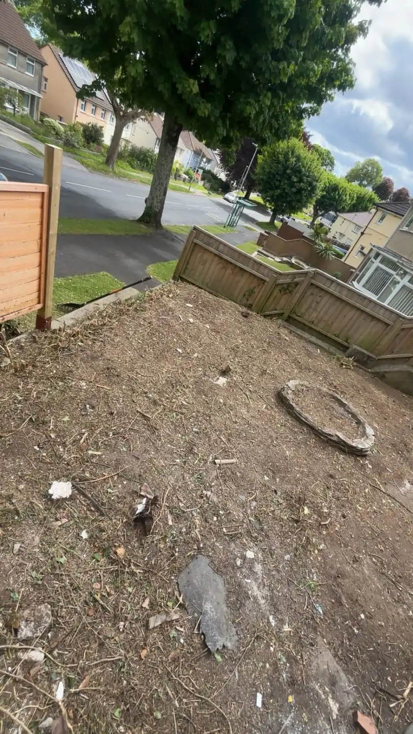 The same bank cleared to bare soil, the fence panels and the road behind it visible again