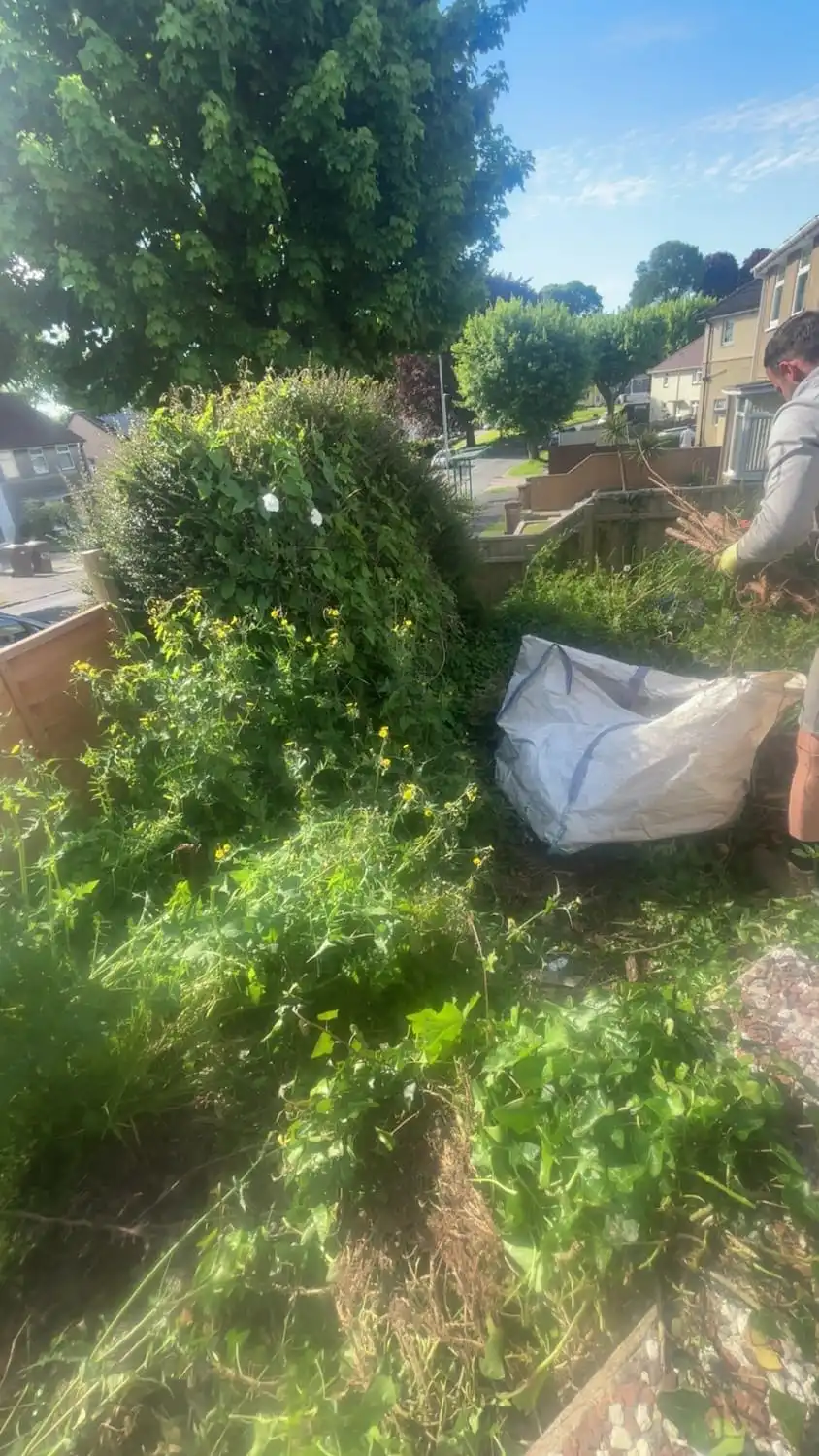 A steep garden bank buried under brambles and ivy, with a bag of cuttings part-filled and someone cutting into the growth