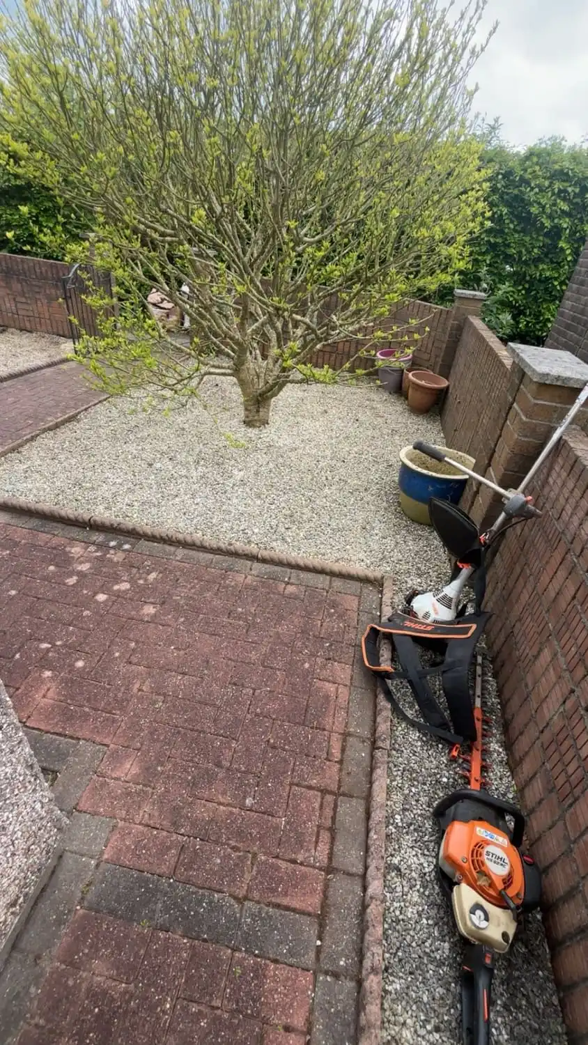 The same garden with the weeds gone, the gravel clean and the paths swept, strimmer standing by
