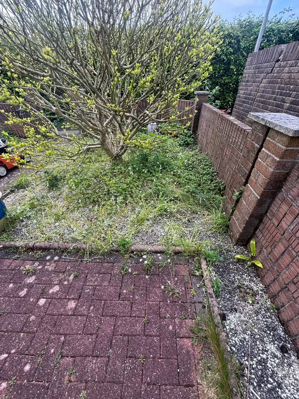 A brick-edged garden where weeds have grown across the gravel and through the paving joints