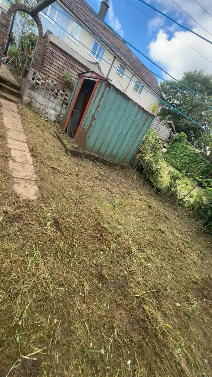The same garden cut down and cleared, the path and the green garage doors reachable again