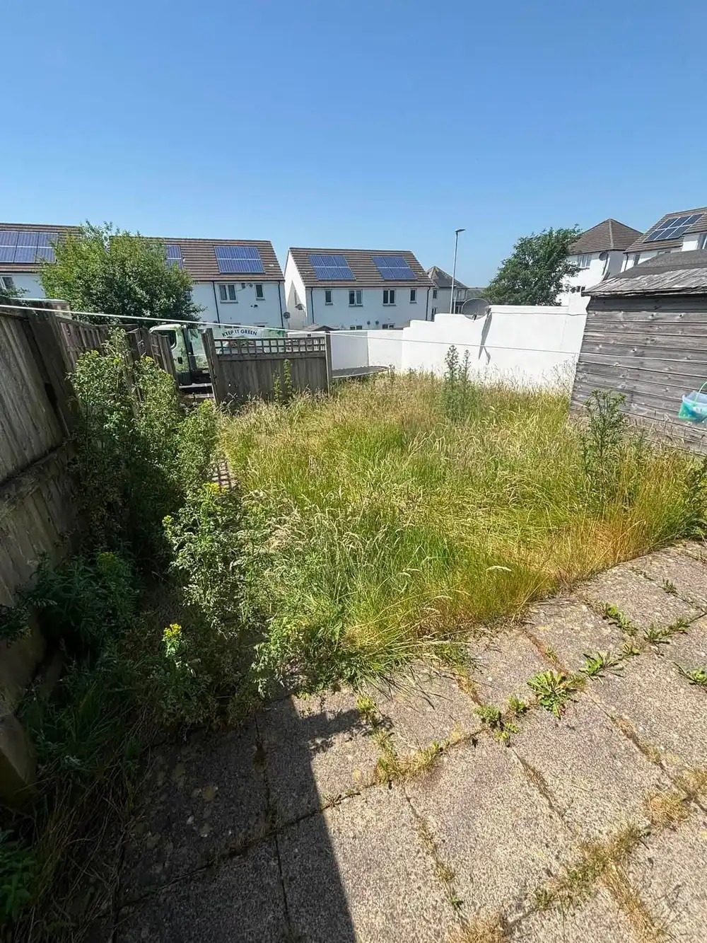 A walled back garden lost under thick, seeding grass and weeds, with the shed and washing line barely reachable