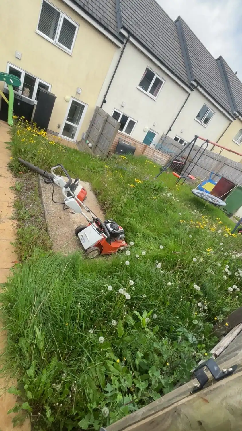 A back lawn grown knee-high with wildflowers through it, a petrol mower parked at the edge of it