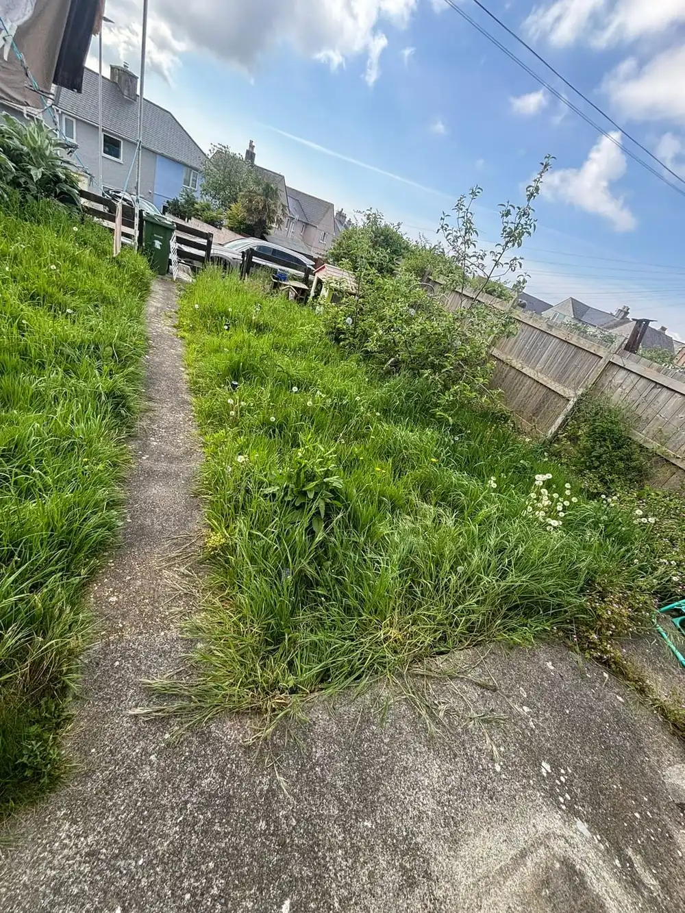 A concrete path through a garden almost swallowed by long grass growing in from both sides