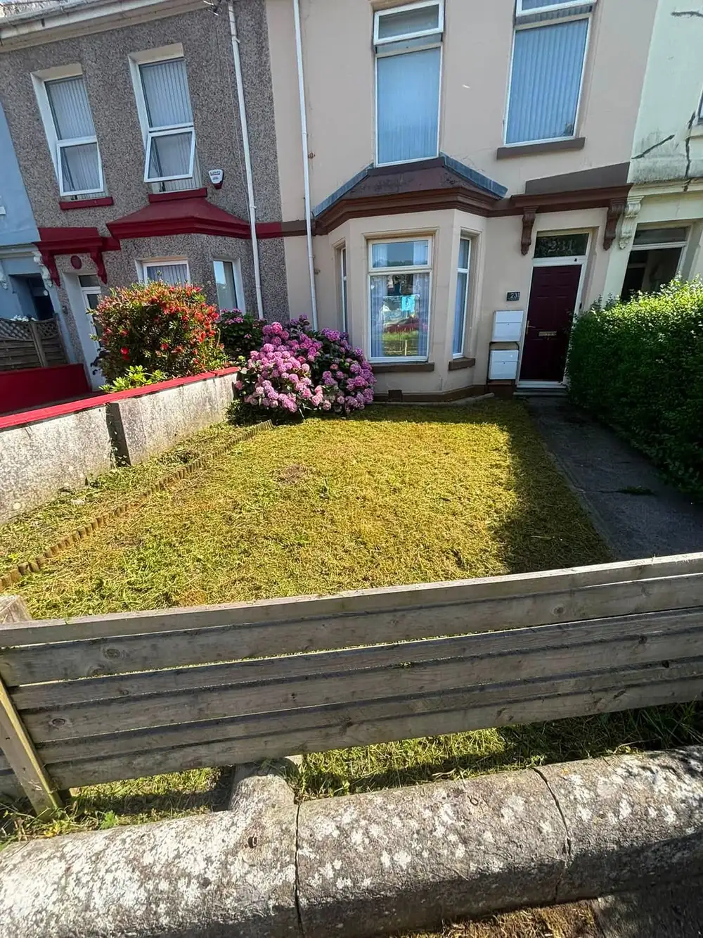The same front lawn cut short and edged, with the path to the front door clear and the flowering shrubs untouched