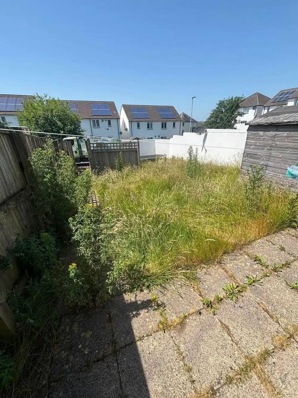 A back garden overtaken by long grass and weeds, running right up to the paving and the fence