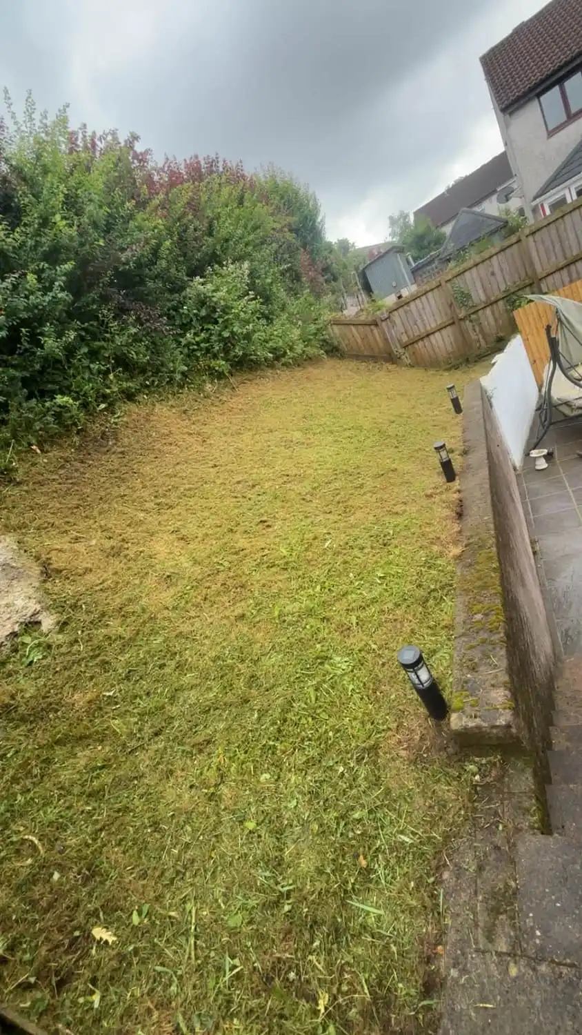 The same walled lawn cut short and even with a clean edge along the paving