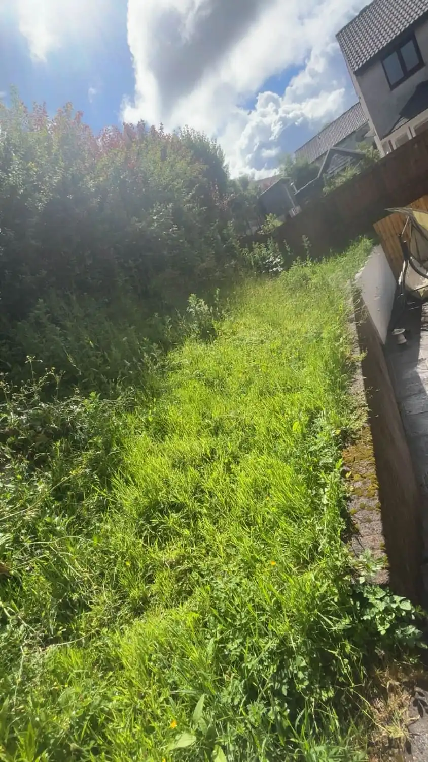 A walled back lawn grown long and lush, spilling over the edging onto the path