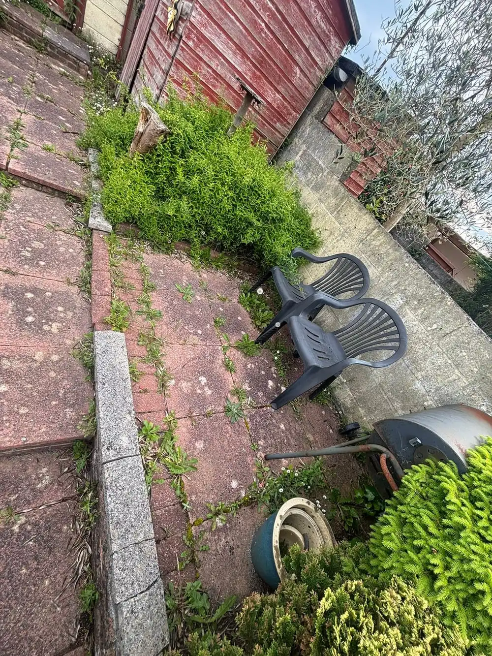 A back patio with weeds growing thickly through the paving joints and around the garden chairs