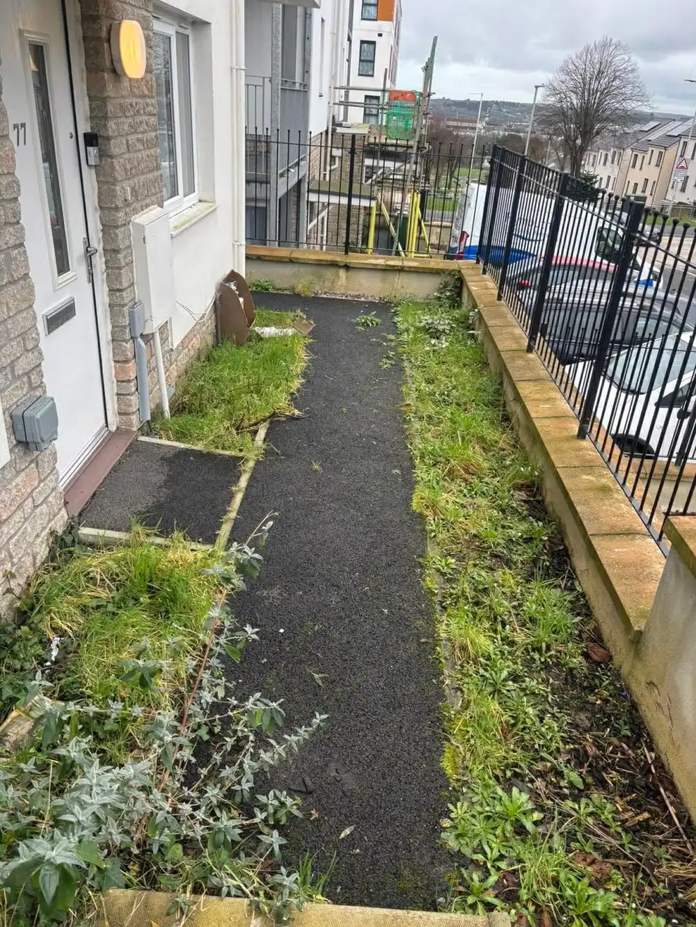 A tarmac path down the side of a house with grass and weeds growing in from both edges