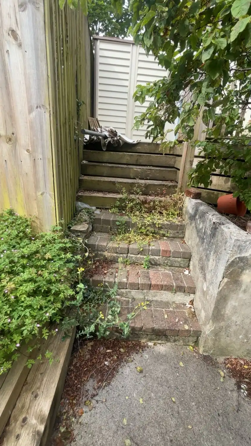 A flight of brick garden steps almost hidden under weeds and trailing growth from the bank beside them