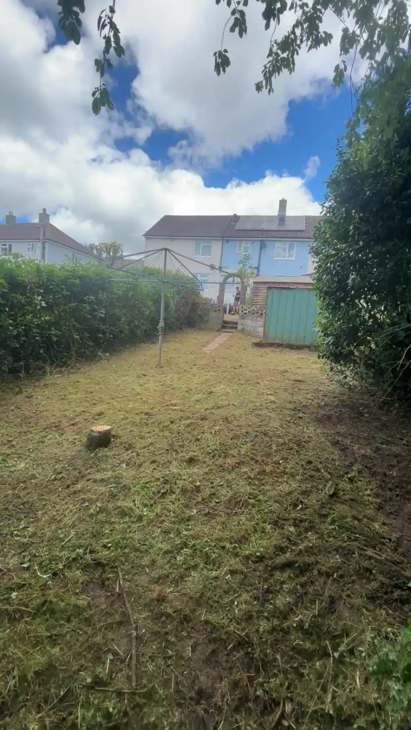 The same garden cut down and cleared with the birch stump cut flush to the ground and the garage now reachable