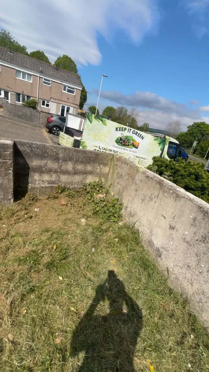 The same raised bed with the tree gone, cut level and swept clean, and the van loaded on the road behind